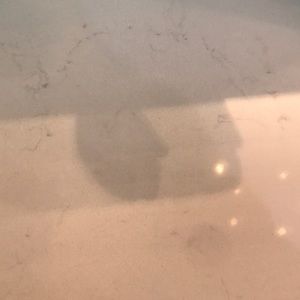 Meet your Posher, Sandia